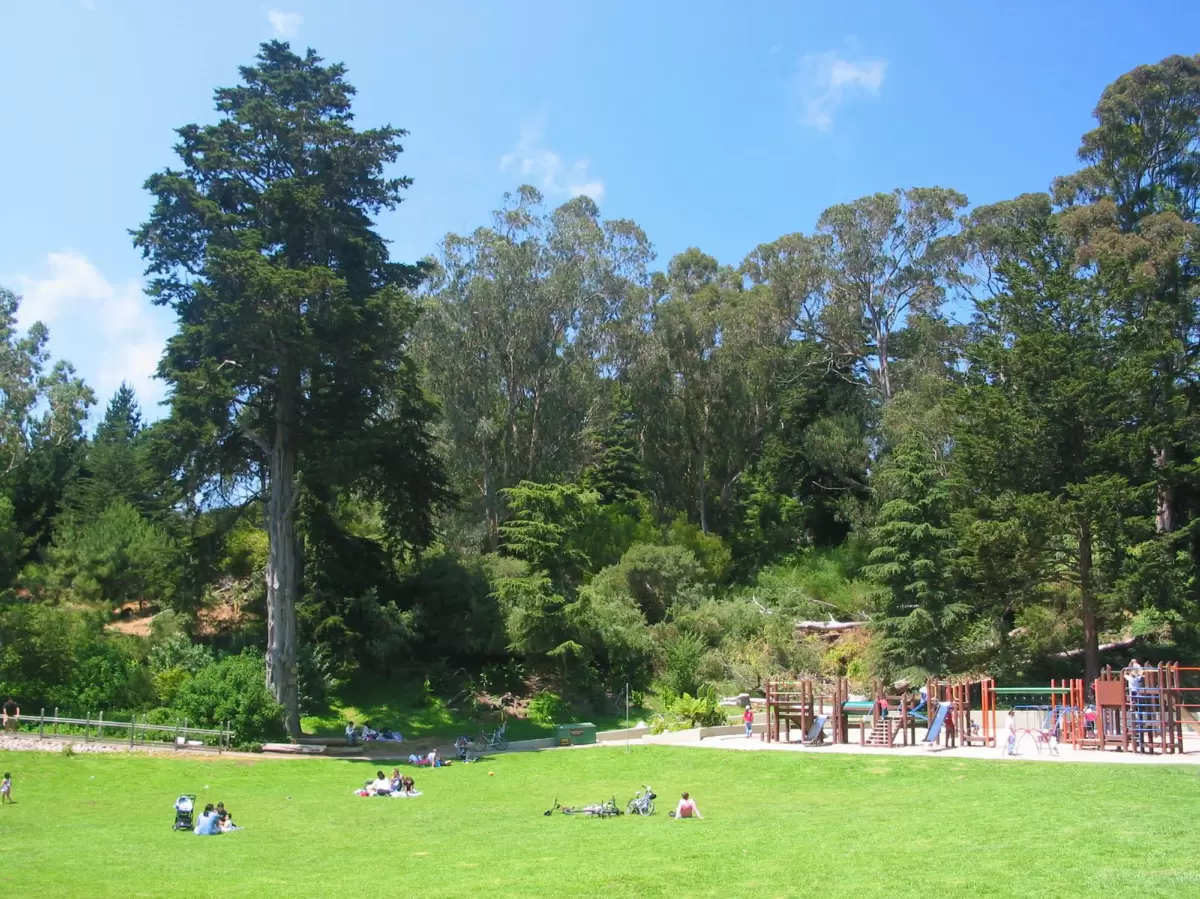 Golden Gate Park