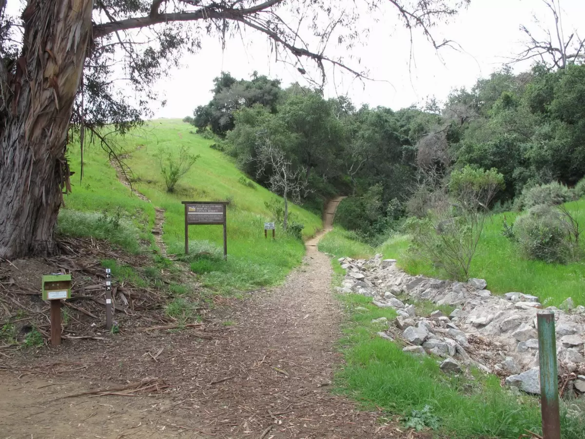 Irish Hills Hike, SLO