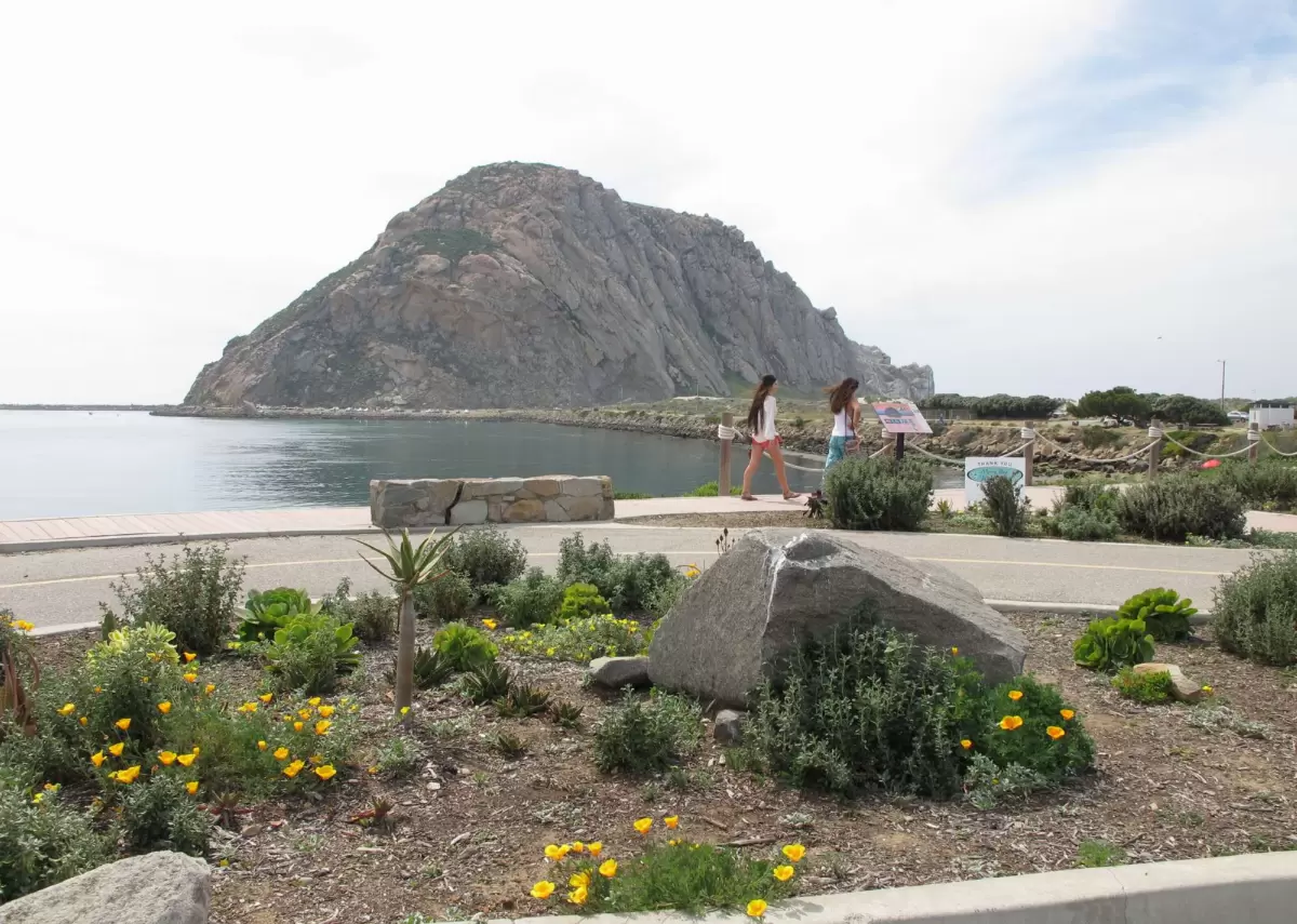 Coleman Park Harborwalk (sea otters!), Morro Bay