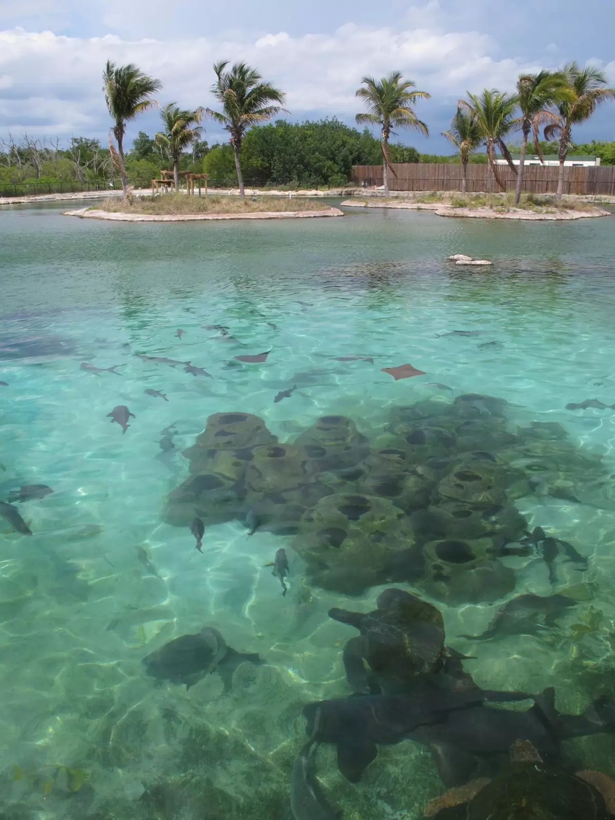 Florida Oceanographic Coastal Ctr, Stuart