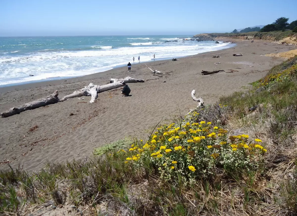 Moonstone Beach Boardwalk, Cambria