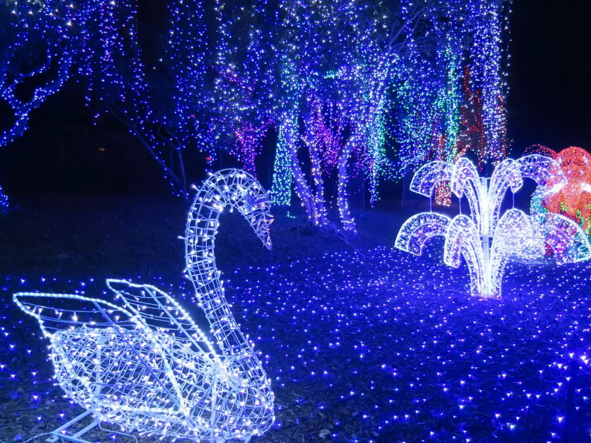 Cambria Pines Lodge Christmas Lights