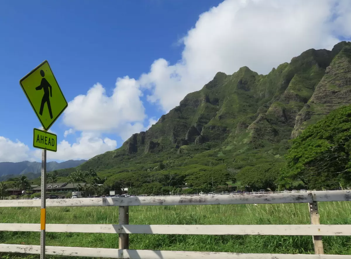 Coast drive up to La'ie