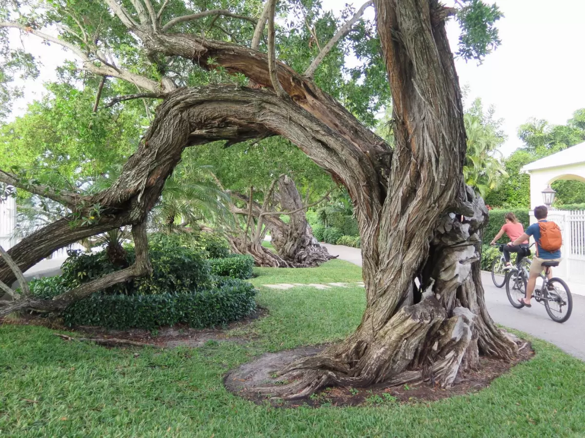 North Lake Trail, Palm Beach