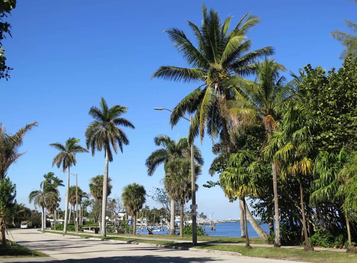 Flagler Drive walk, West Palm Beach