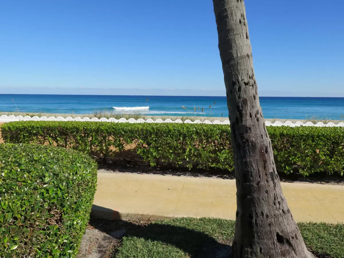 Ocean Blvd Wave Wall Walk, Palm Beach
