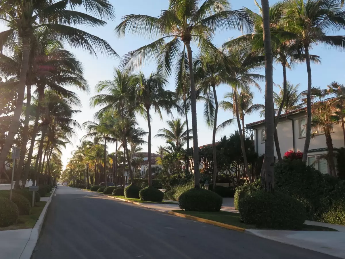 Wells Road and side streets walk, Palm Beach