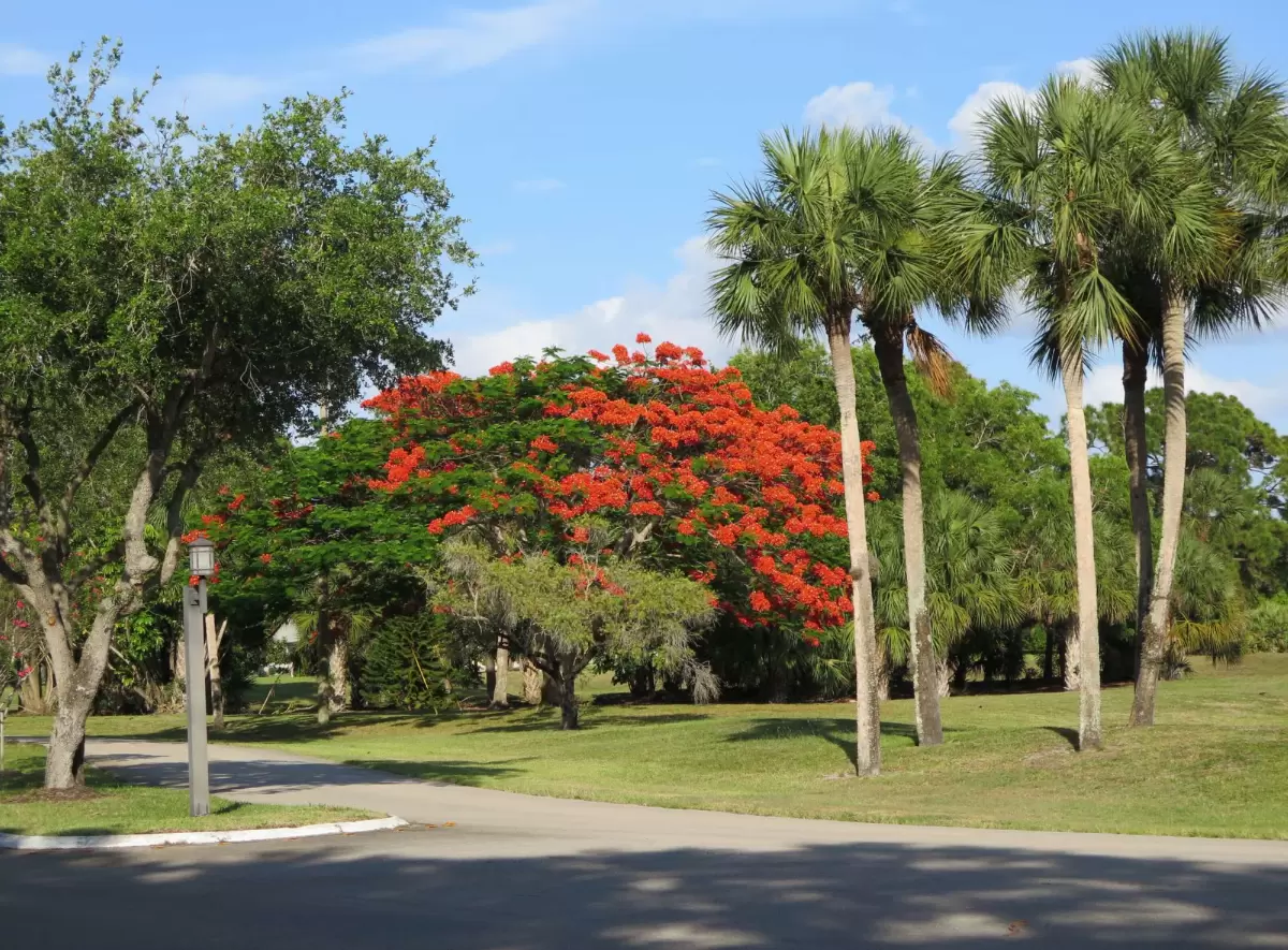 Heritage Ridge Walk, Hobe Sound
