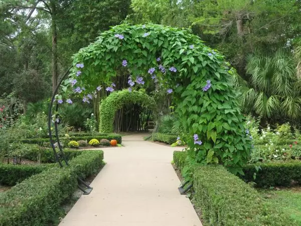 Port St. Lucie Botanical Gardens