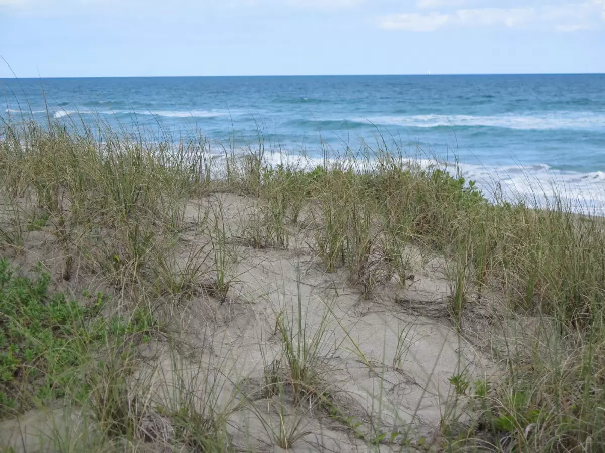 Tiger Shores Beach, Hutchinson Island