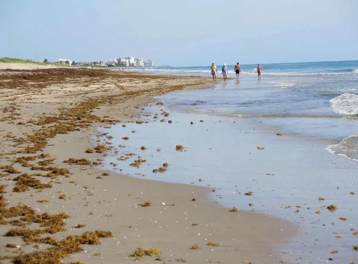 Bryn Mawr Beach, Hutchinson Island