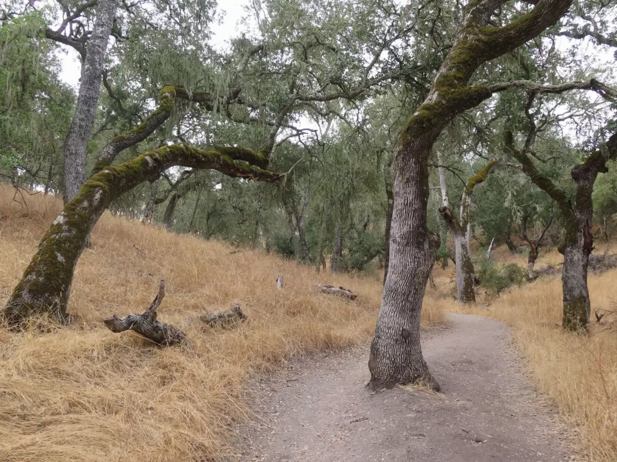 Jim Green Trail, Atascadero