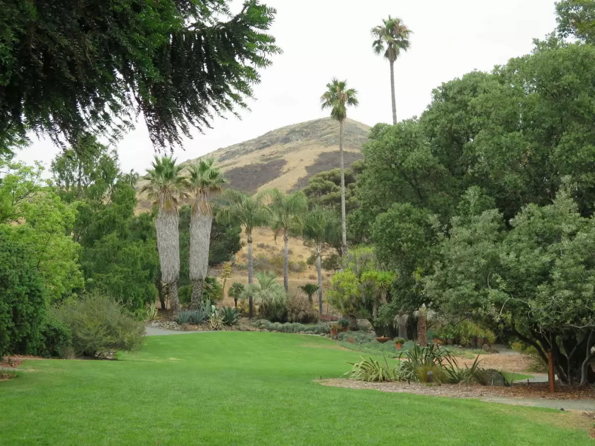 Leaning Pine Arboretum, Cal Poly