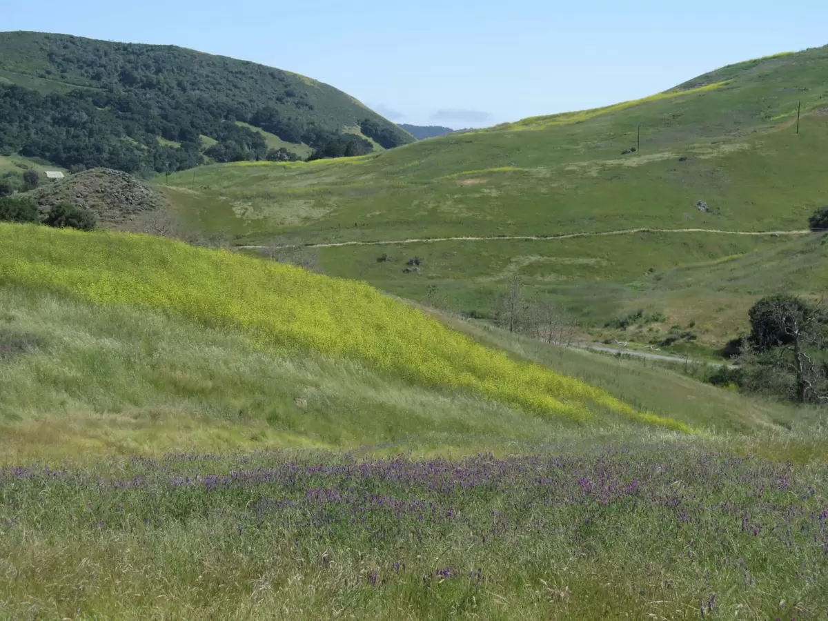 Johnson Ranch Hike, SLO