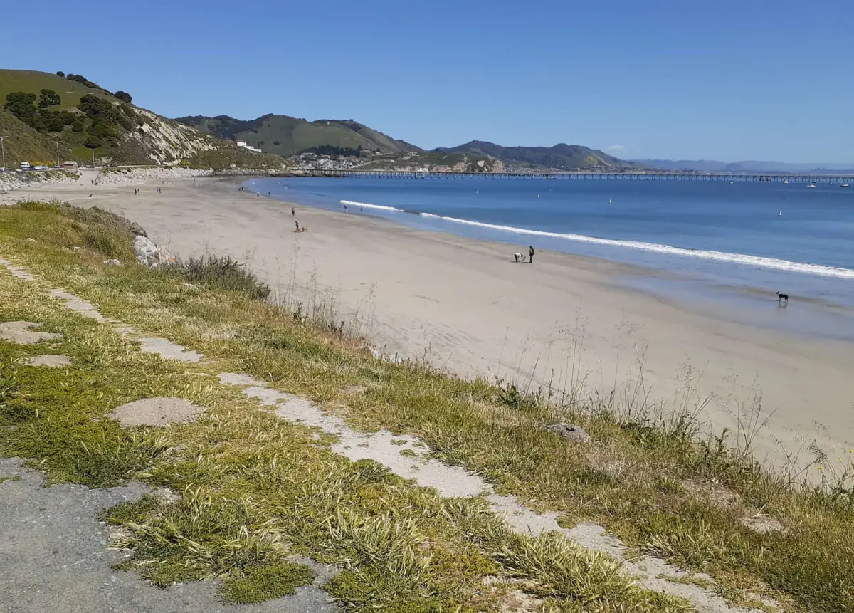 Olde Port Dog Beach, Avila Beach