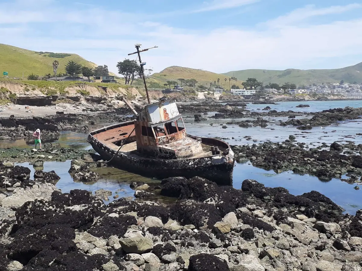 Estero Bluffs trail, beach, and shipwreck