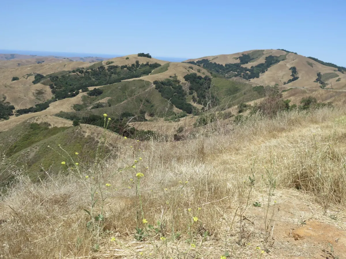 Green Valley Viewing Point, Highway 46