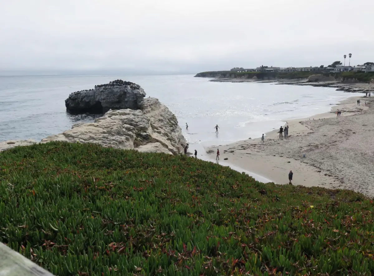Natural Bridges State Beach, Santa Cruz