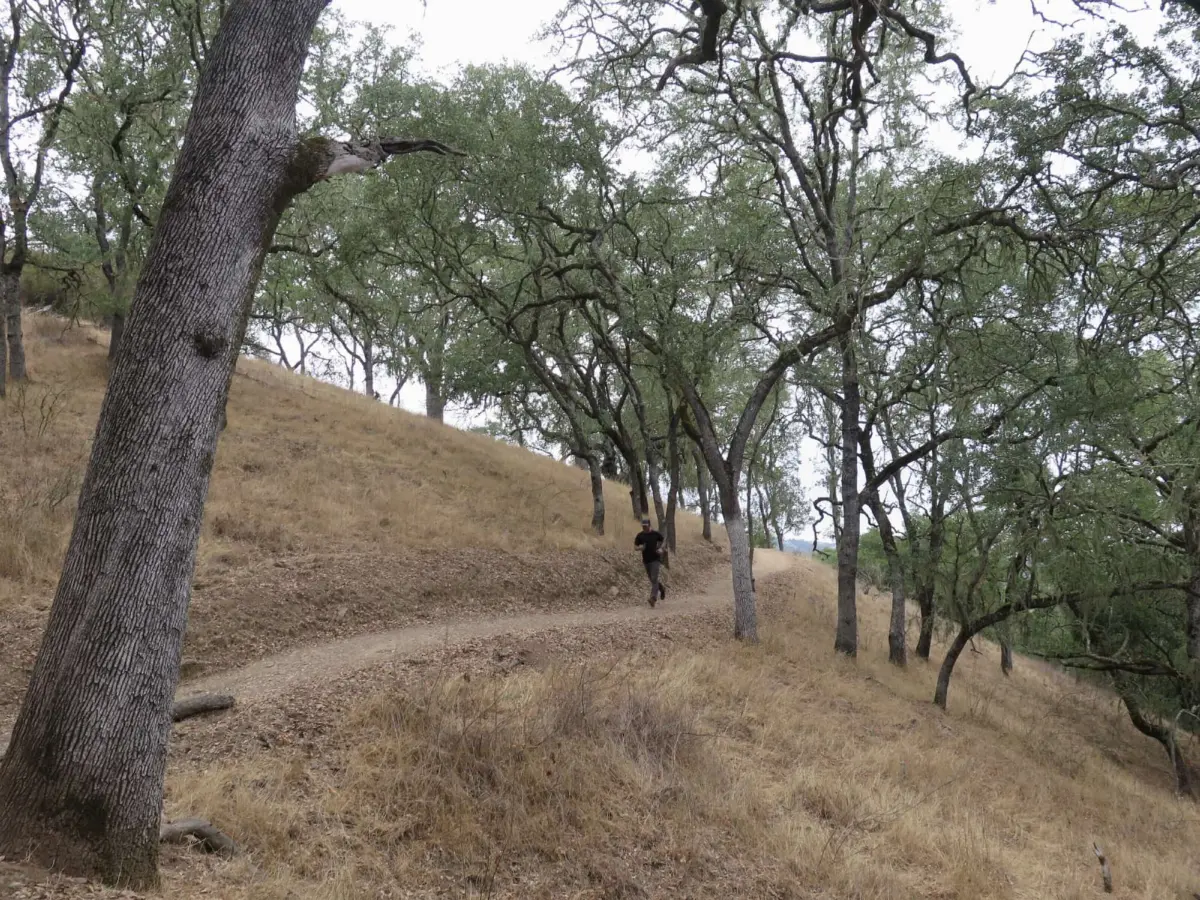Three Bridges Oak Preserve Loop Trail, Atascadero
