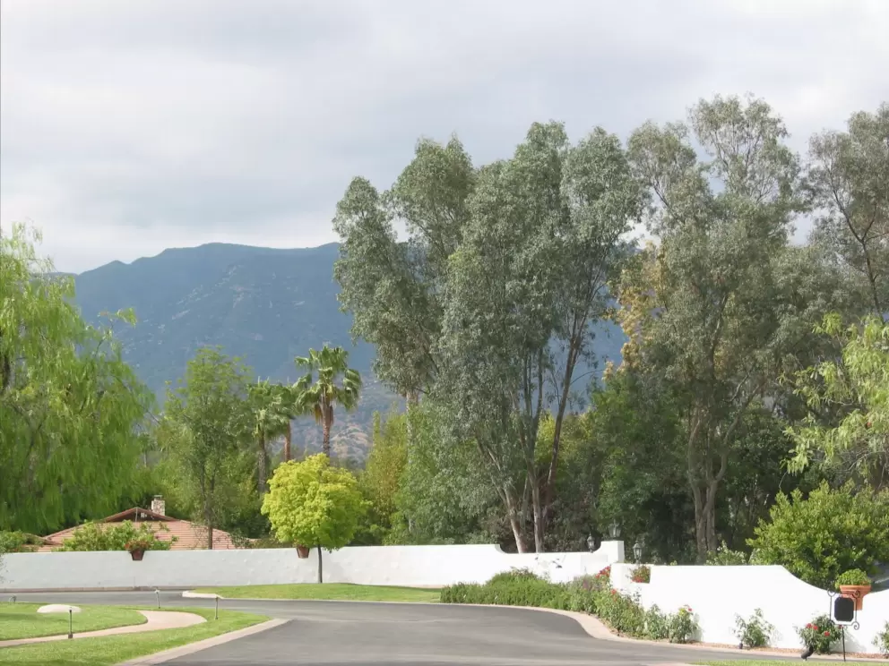 The view as you drive up to the reception area. 