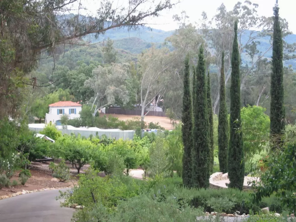 The hillside herb garden. 