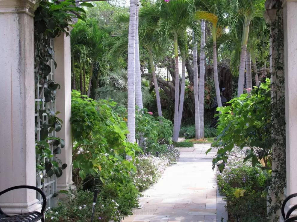 View from under the pergola.