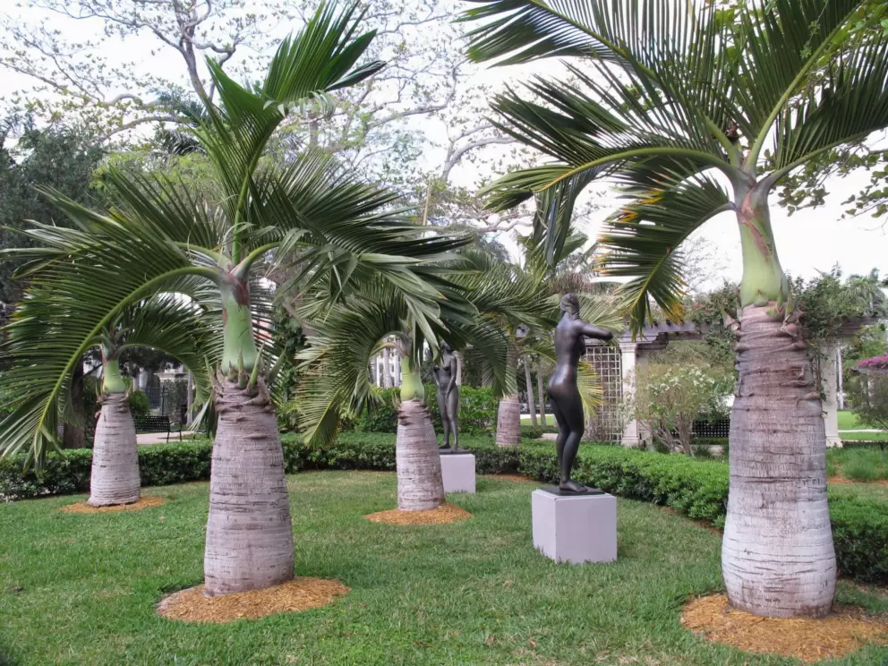 Statue amongst palms.