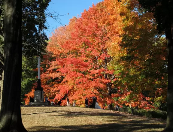 An 843-acre oasis of delights in the middle of New York City!