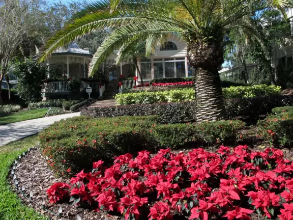Walk beside Lake Virginia past pretty mansions and beside the lake on the Rollins College campus.