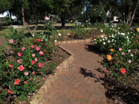 Gorgeous main street with large, European-style park where people sit on the grass by the fountain.