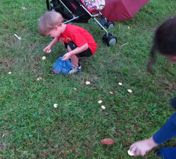 Development with restaurants that cater to the baseball fans that come to spring training games at Roger Dean Stadium, plus a taco cafe, Cuban cafe, and a great coffee shop.
