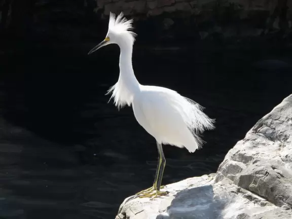 Beautiful park with great rollercoaster rides and amazing aquariums.