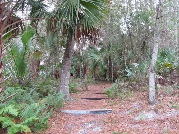 Large playground with sand floor and huge shade canopy, plus hike through a jungle paradise!
