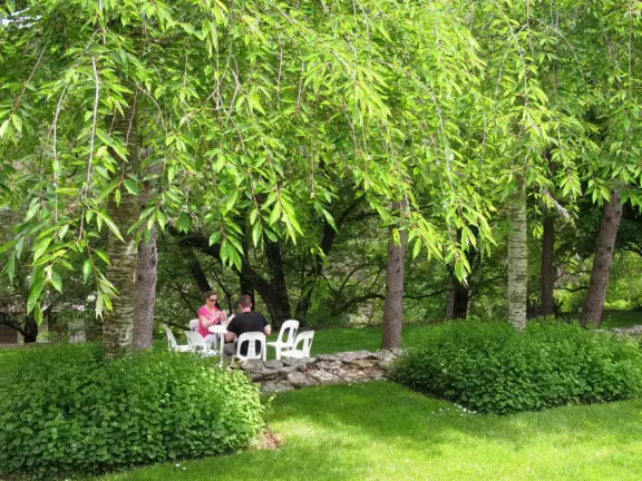 Magically beautiful gardens with varied terraced areas that take your breath away- views of Jamison valley, bushwalk to grotto, formal delightful settings.