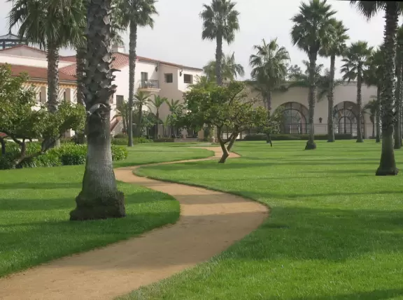 A lovely walk among tropical flowers under tall palms.