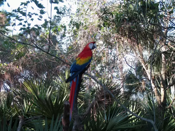 Wonderful zoo among jungle with plenty of room for animals to roam, and an amazing interactive area for kids.