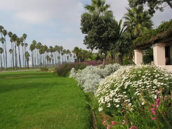 A lovely walk among tropical flowers under tall palms.