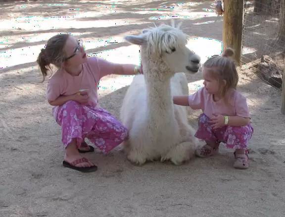 Wonderful zoo among jungle with plenty of room for animals to roam, and an amazing interactive area for kids.