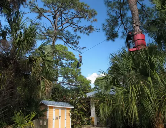 Wonderful zoo among jungle with plenty of room for animals to roam, and an amazing interactive area for kids.