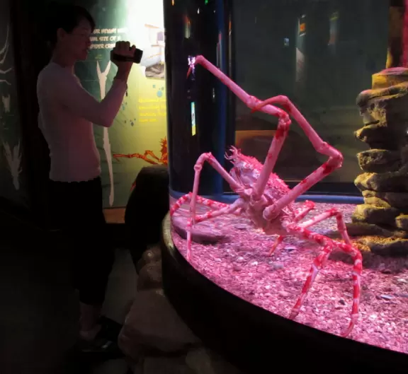 Wonderful exhibits that you will remember forever, especially the Great Barrier Reef exhibit and the Dugong Lagoon.