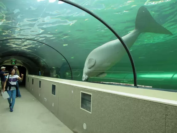 Wonderful exhibits that you will remember forever, especially the Great Barrier Reef exhibit and the Dugong Lagoon.