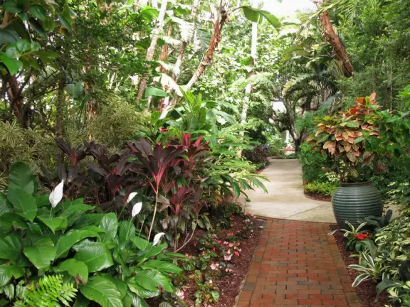 1920s hotel with regal palm-lined entrance, spectacular ceilings in the lobby, palm courtyard where you can enjoy a coffee, and short ocean promenade.