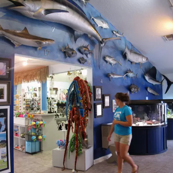 Beautiful nature center on Hutchinson Island, with nature trail on boardwalks, lagoon filled with sharks and game fish, stingrays you can feed by hand, and huge ocean deck with views around the island!