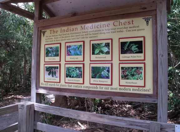 Beautiful nature center on Hutchinson Island, with nature trail on boardwalks, lagoon filled with sharks and game fish, stingrays you can feed by hand, and huge ocean deck with views around the island!