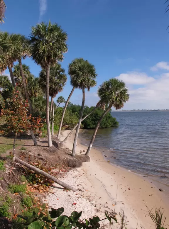 Popular 1.7 mile loop walking path with some shade and wooden boardwalk beside the river.