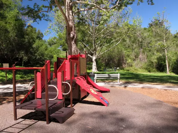 Toddler playground in a sunken area filled with eucalyptus trees.
