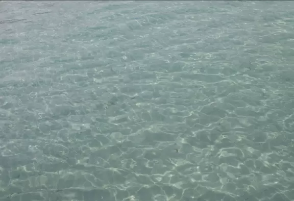 Pontoon boat tour of the mansions on Jupiter Island and the gorgeous clear waters of Jupiter Inlet.