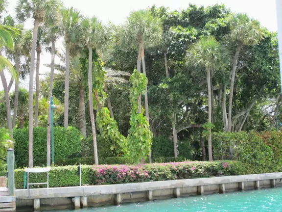 Pontoon boat tour of the mansions on Jupiter Island and the gorgeous clear waters of Jupiter Inlet.