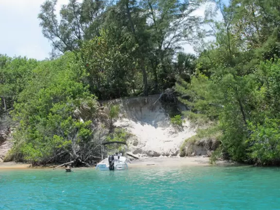 Pontoon boat tour of the mansions on Jupiter Island and the gorgeous clear waters of Jupiter Inlet.