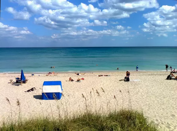 Fun beach with everything a holiday beach should have: pier, promenade, restaurants on the dune, restaurant on the pier, ice cream shop, playground with a view.